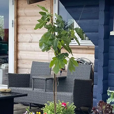 Vakantiehuis Valhallavej 19, 4200