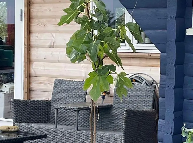 Дом отдыха Valhallavej 19, 4200