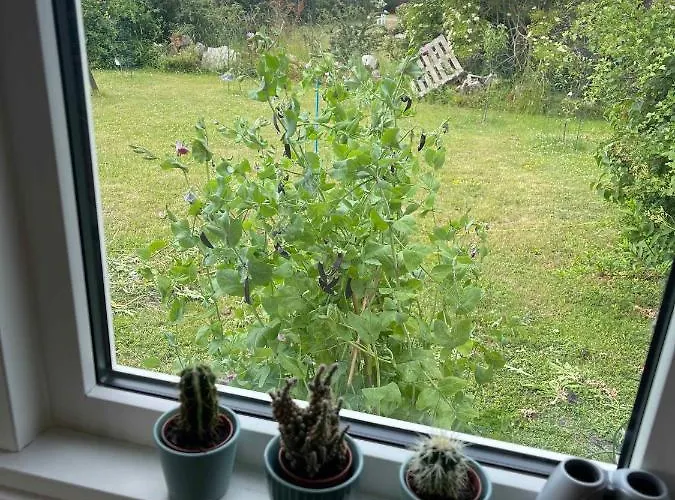 Дом отдыха Valhallavej 19, 4200 *